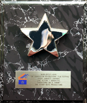 Silver Remi Award